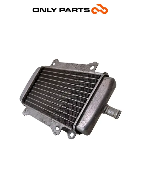 RADIATORE ACQUA PIAGGIO VESPA GT 200 ANNO 2003 ORIGINALE OEM 45394 LIQUID COOLER