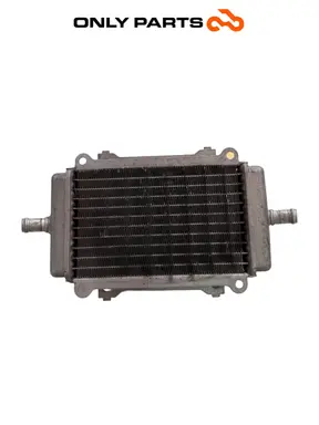 Radiatore acqua Piaggio Vespa GT 200cc 2003 Viola usato — foto reale 3