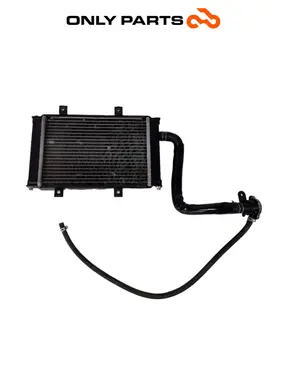 Radiatore acqua Quadro 350 S 2013 Nero usato — foto reale 1