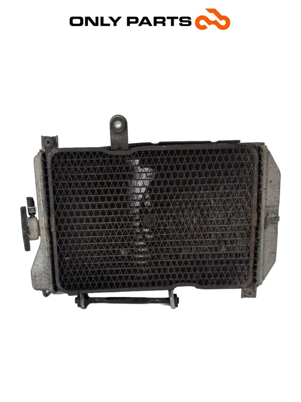 RADIATORE ACQUA RAFFREDDAMENTO MOTORE SUZUKI BURGMAN 650CC 2010 / WATER RADIATOR — 2