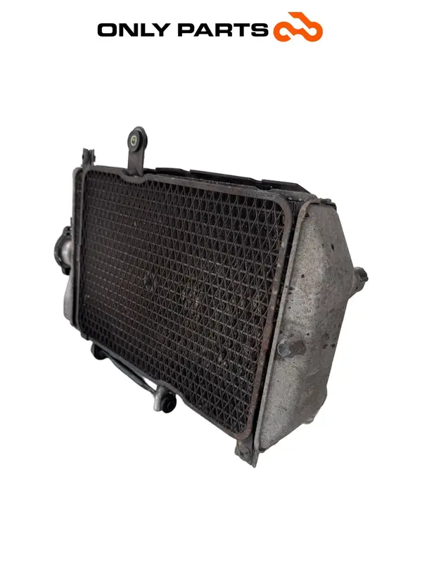 RADIATORE ACQUA RAFFREDDAMENTO MOTORE SUZUKI BURGMAN 650CC 2010 / WATER RADIATOR — 3