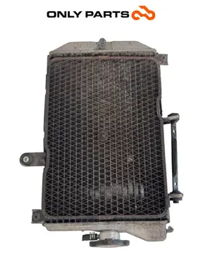 Radiatore acqua Suzuki Burgman 650cc 2010 Bianco usato — foto reale 6