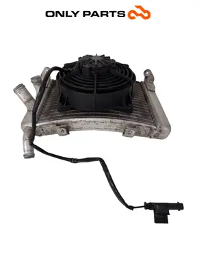 Radiatore acqua + ventola BMW C 400 X 400cc 2020 Blu usato — foto reale 1