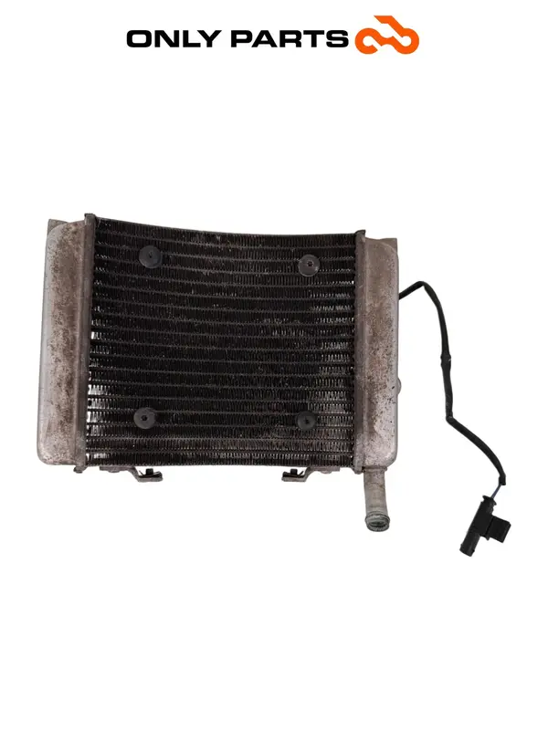 RADIATORE RAFFREDDAMENTO ACQUA + ELETTROVENTOLA BMW C 400 X 2020 17118565186 K09 — 3