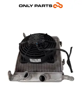 Radiatore acqua + ventola BMW C 400 X 400cc 2020 Blu usato — foto reale 7