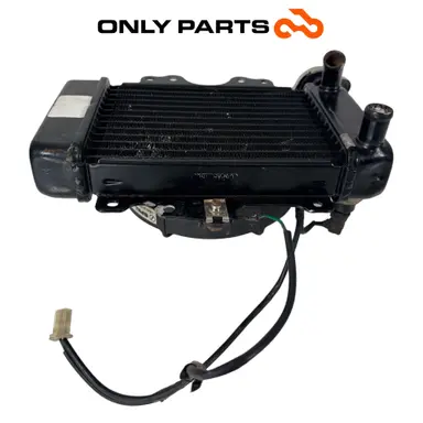 Radiatore acqua + ventola Honda Sh 150cc 2002 Azzurro usato — foto reale 4