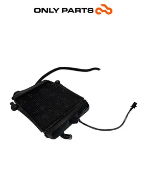 Radiatore acqua + ventola Honda SH 300i 2008 Grigio usato — foto reale 5