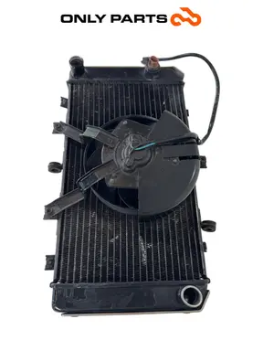 Radiatore acqua + ventola Kawasaki Z 750cc 2004 Nera usato — foto reale 11