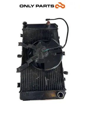 Radiatore acqua + ventola Kawasaki Z 750cc 2004 Nera usato — foto reale 7