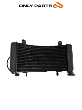 Radiatore acqua + ventola KTM Super Duke 990cc 2006 Nero/Arancione usato — foto reale 1