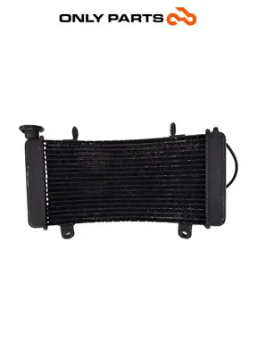Radiatore acqua + ventola KTM Super Duke 990cc 2006 Nero/Arancione usato — foto reale 9
