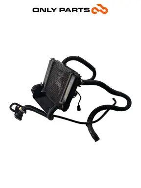 Radiatore acqua + ventola Kymco People S 300cc 2021 Grigio usato — foto reale 1