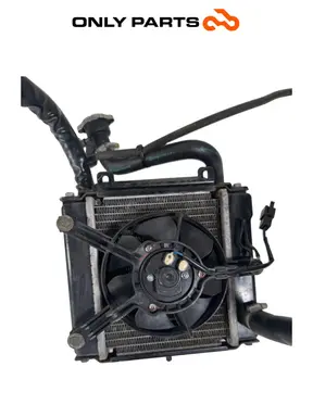 Radiatore acqua + ventola Kymco People S 300cc 2021 Grigio usato — foto reale 10