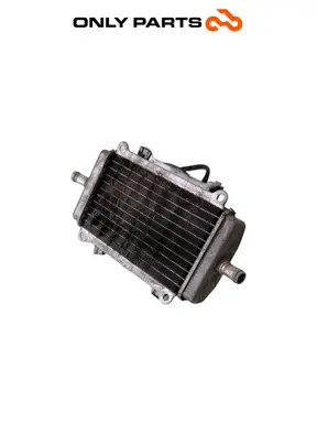 Radiatore acqua + ventola Piaggio Vespa GT 200cc 2003 Viola usato — foto reale 1