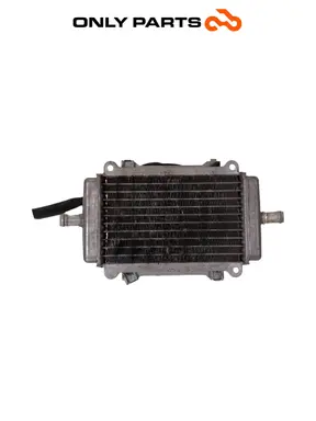 Radiatore acqua + ventola Piaggio Vespa GT 200cc 2003 Viola usato — foto reale 2