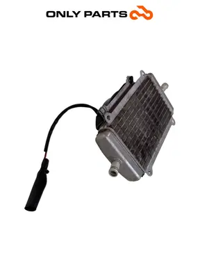 Radiatore acqua + ventola Piaggio Vespa GT 200cc 2003 Viola usato — foto reale 5