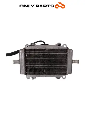 Radiatore acqua + ventola Piaggio Vespa GT 200cc 2003 Viola usato — foto reale 6