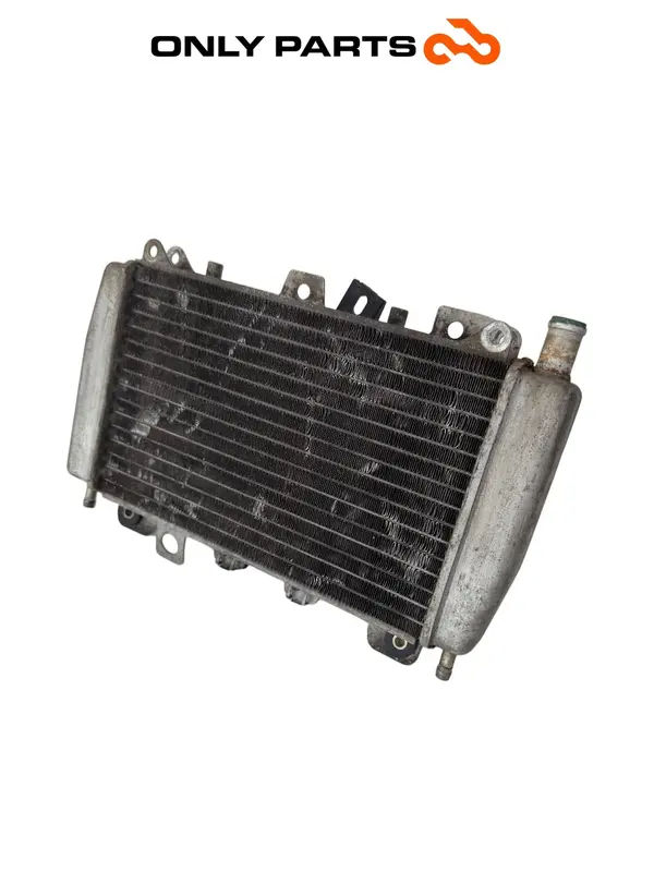 RADIATORE ACQUA CON ELETTROVENTOLA PIAGGIO X9 250 2005 COOLING RADIATOR FAN OEM
