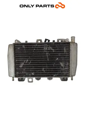 Radiatore acqua + ventola Piaggio X9 evolution  250cc usato — foto reale 2
