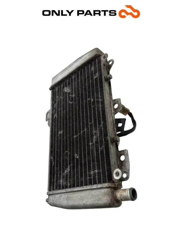 RADIATORE ACQUA CON ELETTROVENTOLA PIAGGIO X9 250 2005 COOLING RADIATOR FAN OEM — 3
