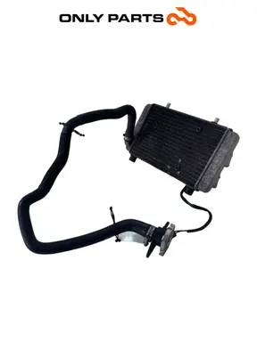 Radiatore acqua + ventola Yamaha X-max 125cc 2014 Grigio opaco usato — foto reale 1