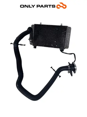 Radiatore acqua + ventola Yamaha X-max 125cc 2014 Grigio opaco usato — foto reale 2