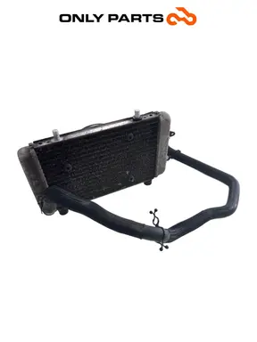 Radiatore acqua + ventola Yamaha X-max 125cc 2014 Grigio opaco usato — foto reale 8
