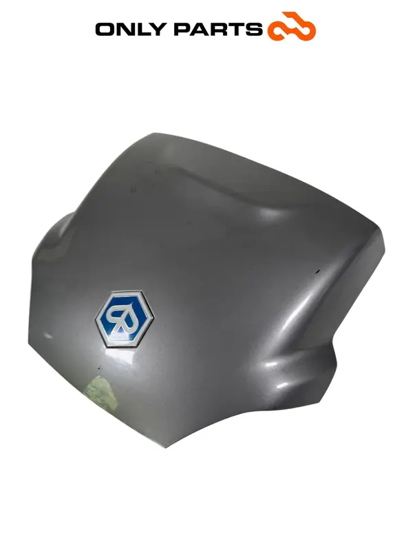 SPORTELLO BAULE POSTERIORE VANO CARICO GRIGIO PIAGGIO MP3 250 2009 / TRUNK DOOR