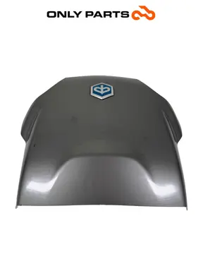 Sportello baule posteriore Piaggio MP3 250cc 2009 Grigio usato — foto reale 5