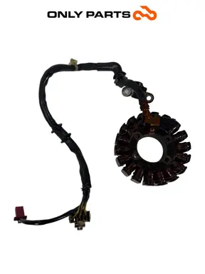 Statore/alternatore Pick-up Honda SH 300i 2008 Grigio usato — foto reale 2