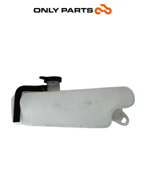 Vaso di espansione Kymco People S 300cc 2021 Grigio usato — foto reale 1